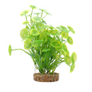 Fluval Aqualife Plant Scapes Yellow-Green Lysimachia 8"/20cm