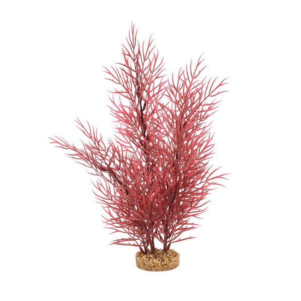 Fluval Aqualife Plant Scapes Scarlet Eichornea 14"/35.5cm