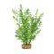 Fluval Aqualife Plant Scapes Green Myriophyllum