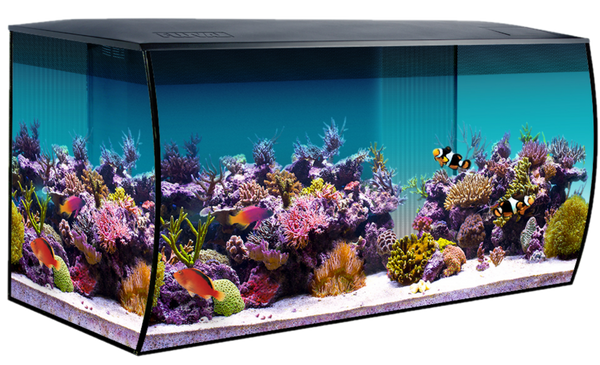 50 gallon hot sale saltwater aquarium kit