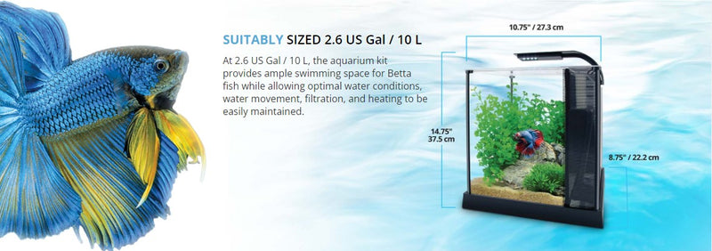 Fluval Betta Premium Aquarium Kit, 2.6 US Gal / 10 L
