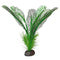 Fluval Betta Premium Madagascar Lace Plant, 6″ / 15 cm