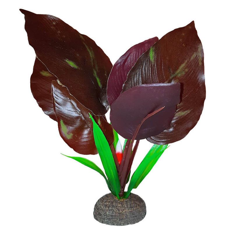 Fluval Betta Premium Red Lizard Plant, 6″ / 15 cm