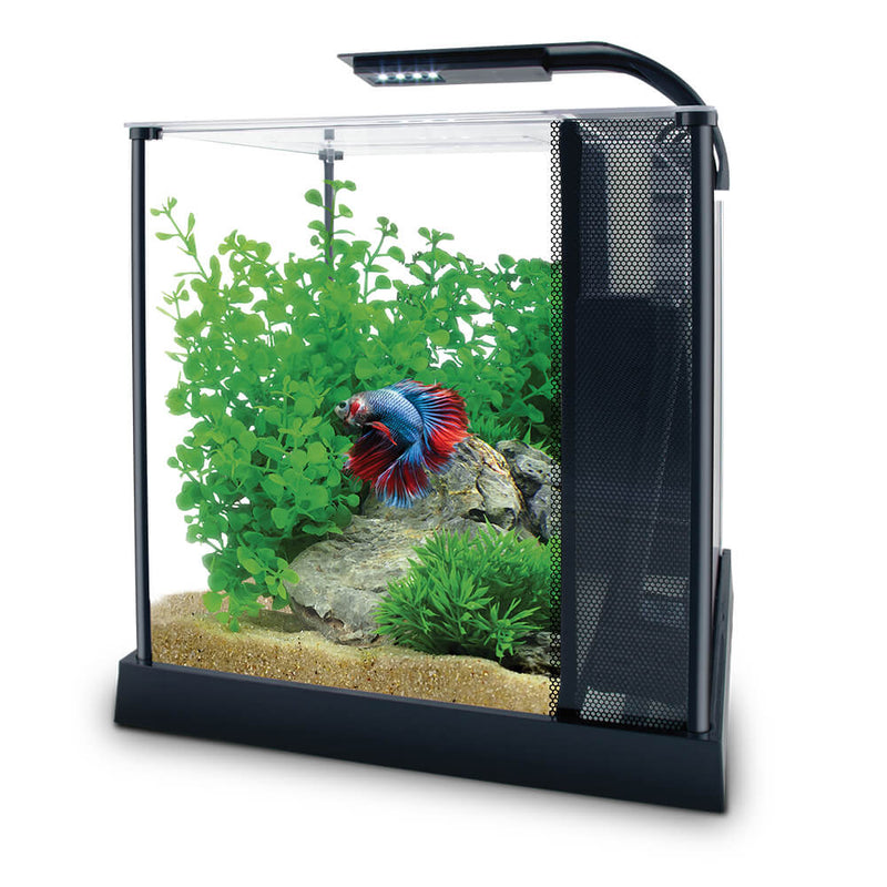 Betta Fish Tank Self Cleaning Glass 2 Gallon Small Nano Aquarium Starter  Kits Desktop Room Decor w/LED Light Decorations & Whisper Filters Water  Pump