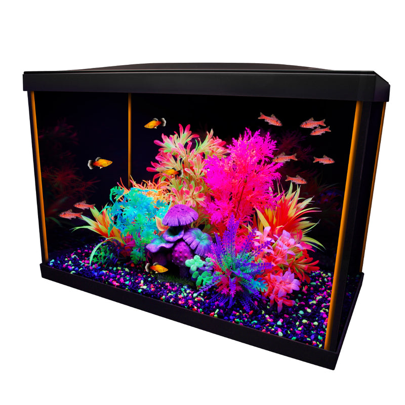 Marina 360 Aquarium 10L Fish Tank with Remote LED Lighting Kid Starter  Beginner