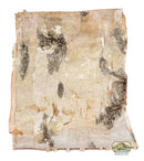 NewCal Birch Bark 1/2 Sheet (12x9")