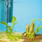 Oase BioPlus Thermo 200 (up to 55G)