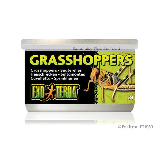 Exo Terra Canned Grasshoppers 34g/1.2oz
