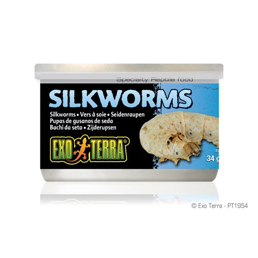 Exo Terra Silkworms (Pupea) 34g/1.2oz