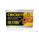 Exo Terra Crickets XL 34g/1.2oz