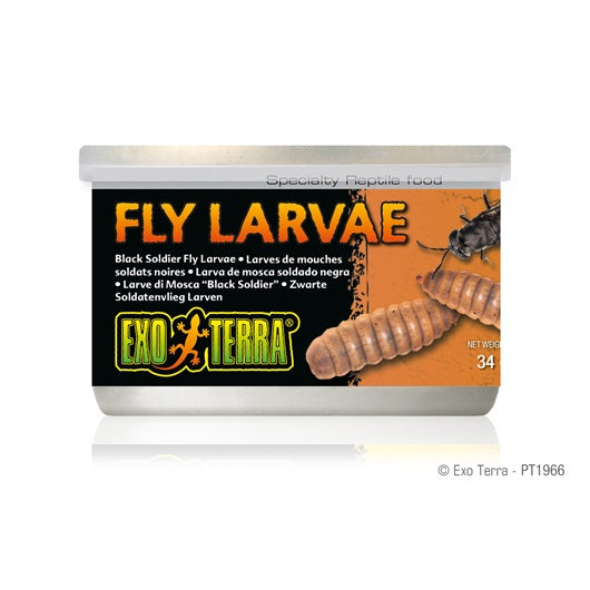 Exo Terra Canned Black Solider Fly Larvae 34g/1.2oz
