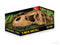 Exo Terra T-Rex Skull Fossil Hide Out