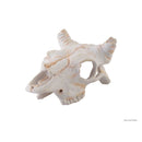 Exo Terra Buffalo Skull (Small)