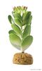 Exo Terra Desert Plant (Jade Cactus)