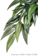 Exo Terra Silk Plant (Ruscus)