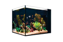 Red Sea Desktop Peninsula Tank - SPECIAL ORDER