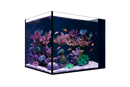 Red Sea Desktop Peninsula Tank - SPECIAL ORDER