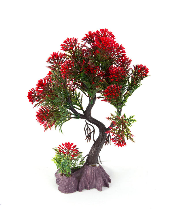 AquaFit Red Pine Bonsai Plastic Plant 8"