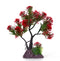 AquaFit Red Pine Bonsai 7"