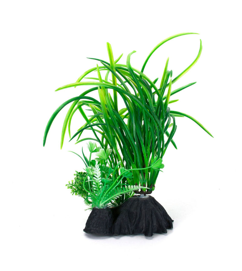 AquaFit Small Grass Plant 7"