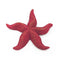 AquaFit Polyresin Starfish 2.75x2.75x0.5"