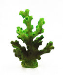 AquaFit Polyresin Branching Coral 2.75x1.5x2.75"