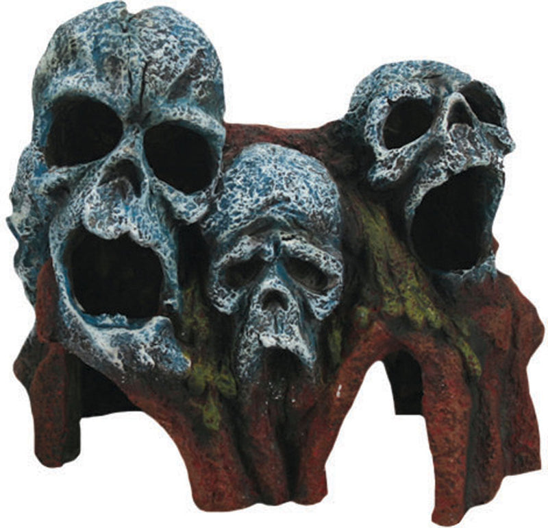 AquaFit Tree Root Skulls 7x4x6"