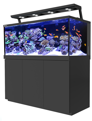 Red Sea Max S 650 ReefLED Complete Reef System - Black - SPECIAL ORDER